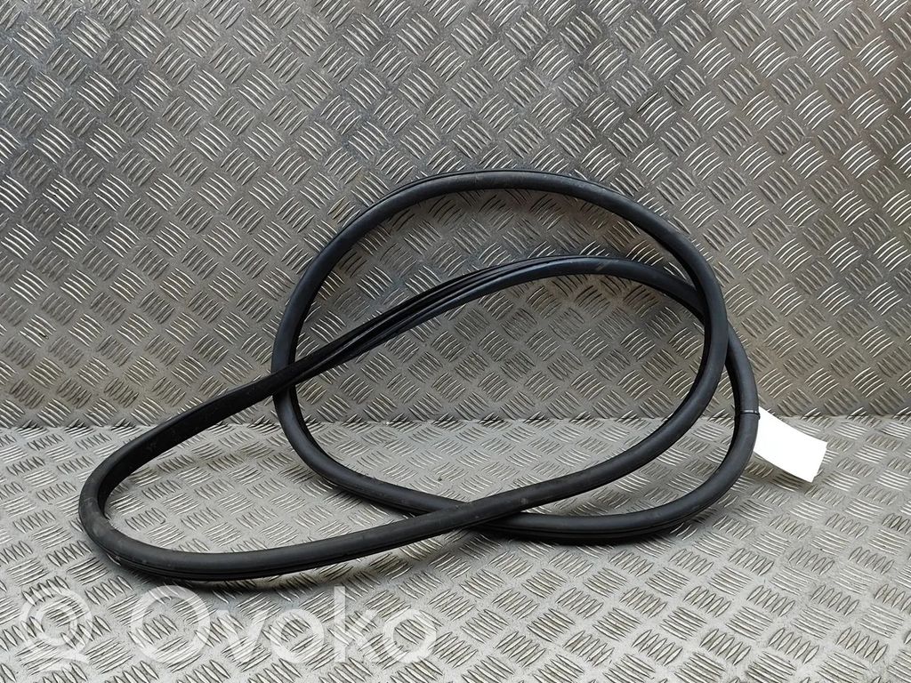 BMW 5 F10 F11 Uszczelka drzwi przednich 