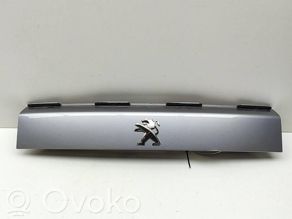 Peugeot 2008 II Éclairage de plaque d'immatriculation 