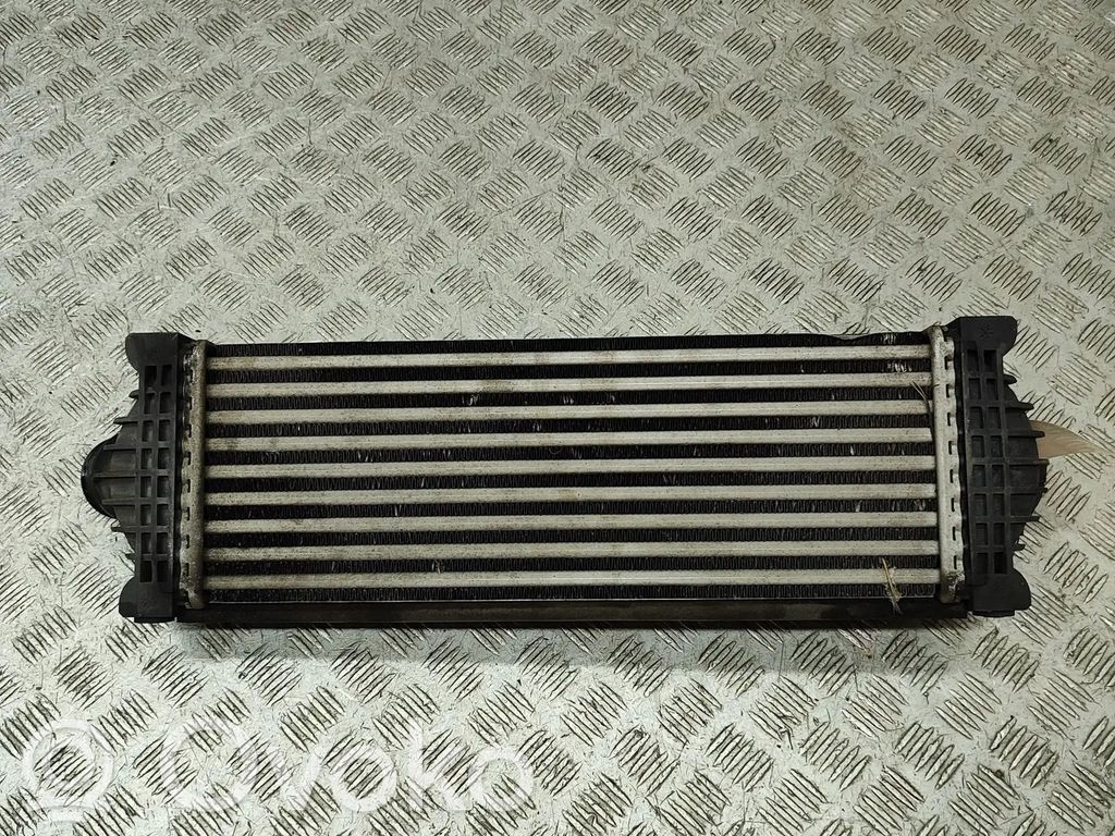 Interkūlerio radiatorius   GK216K775AE