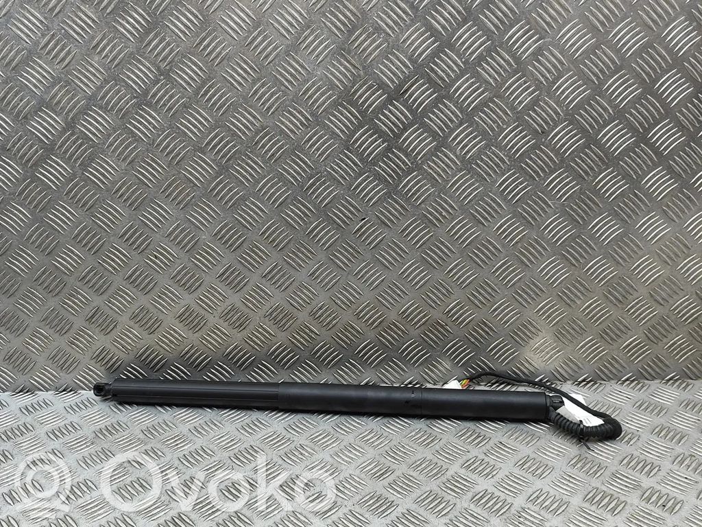 Tesla Model Y Juniper Tailgate/trunk strut/damper 