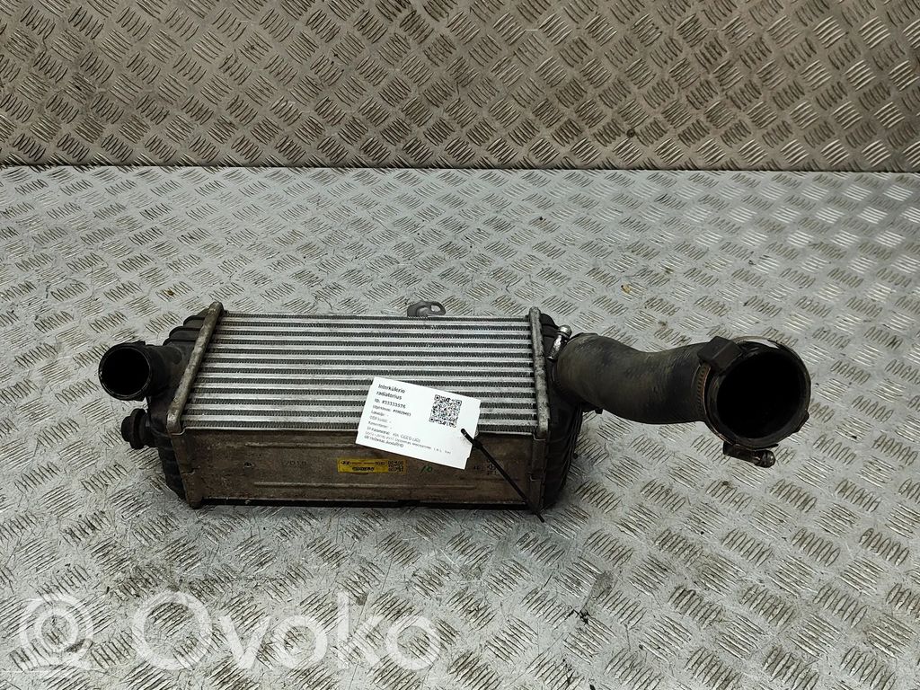 Interkūlerio radiatorius   282702A570