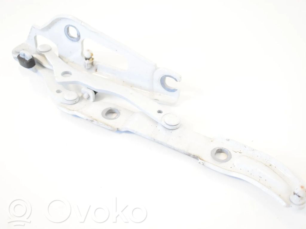 BMW 2 F22 F23 Cerniera portellone posteriore/bagagliaio 