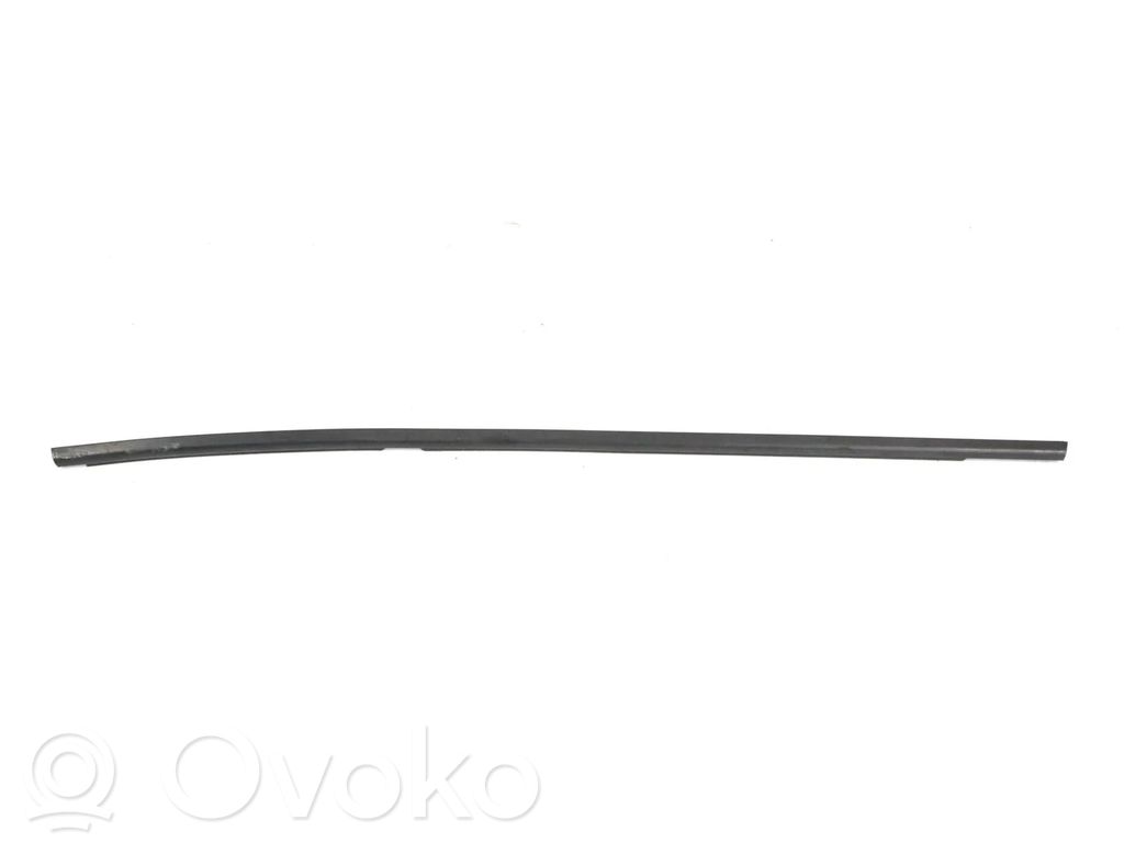 BMW X1 E84 Listwa / Uszczelka szyby drzwi tylnych 