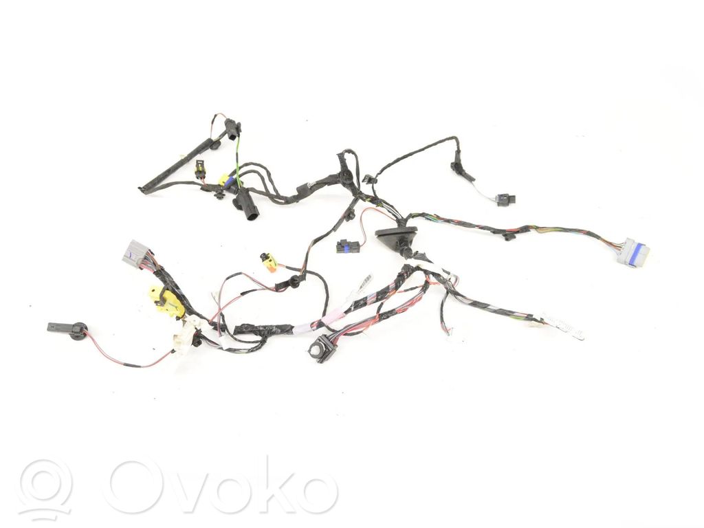 Tesla Model X Cableado de puerta trasera 
