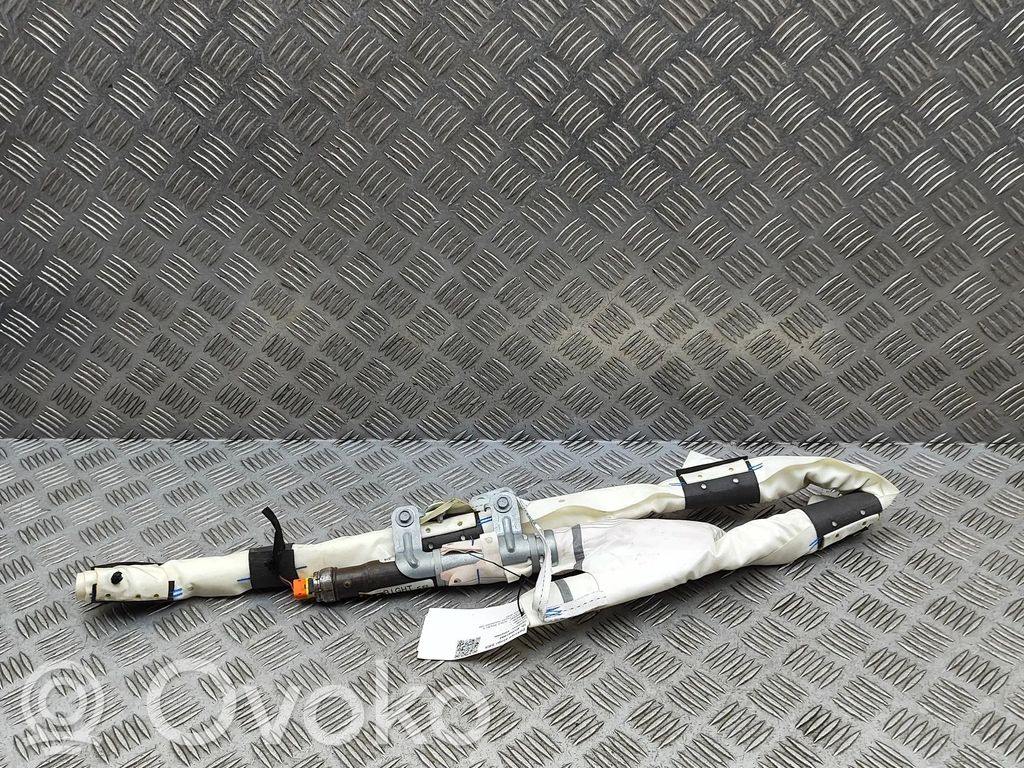 Tesla Model X Kopfairbag 