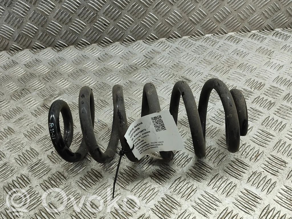 Muelle espiral trasero   32381523