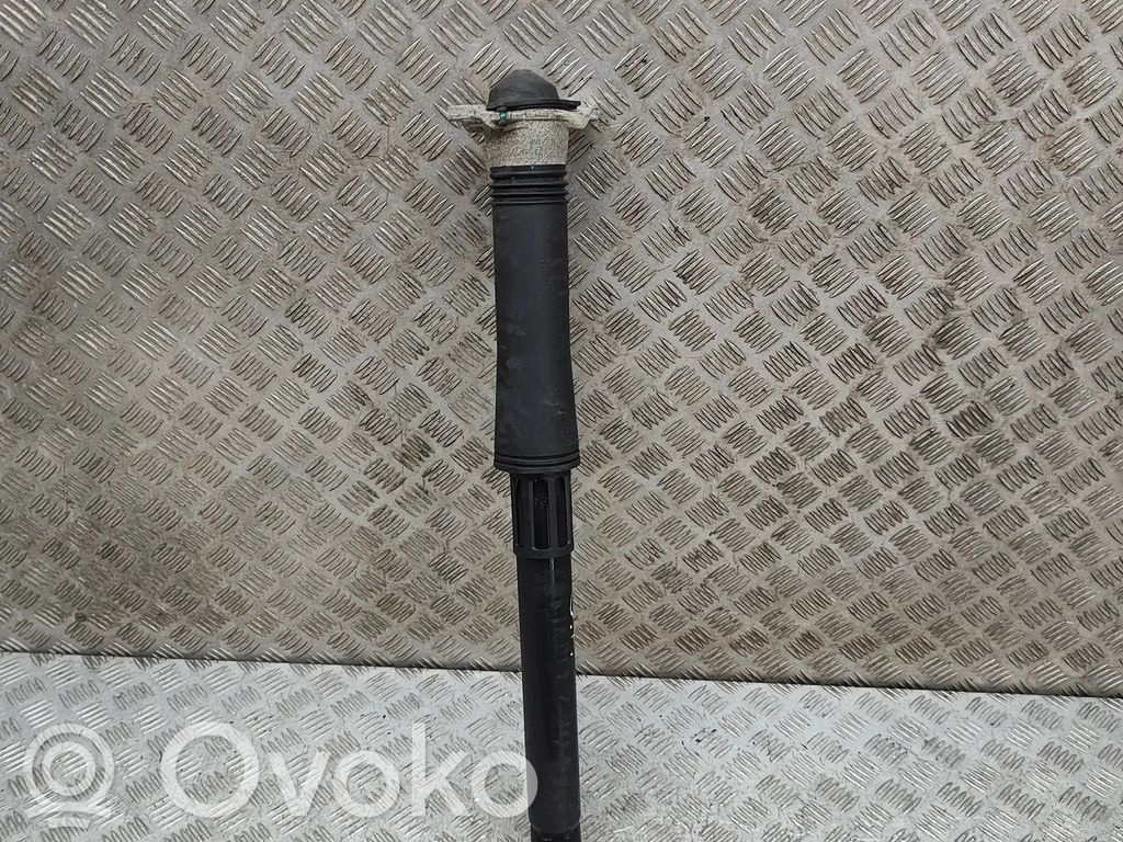 BYD Atto 3 Amortiguador trasero 