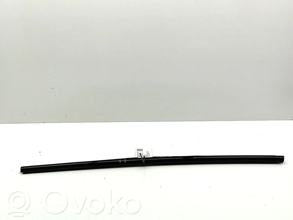 Porsche Taycan 9J1 Listwa / Uszczelka szyby drzwi tylnych 