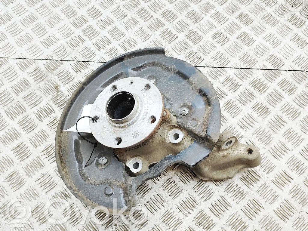 Volkswagen Tiguan Rear wheel hub 