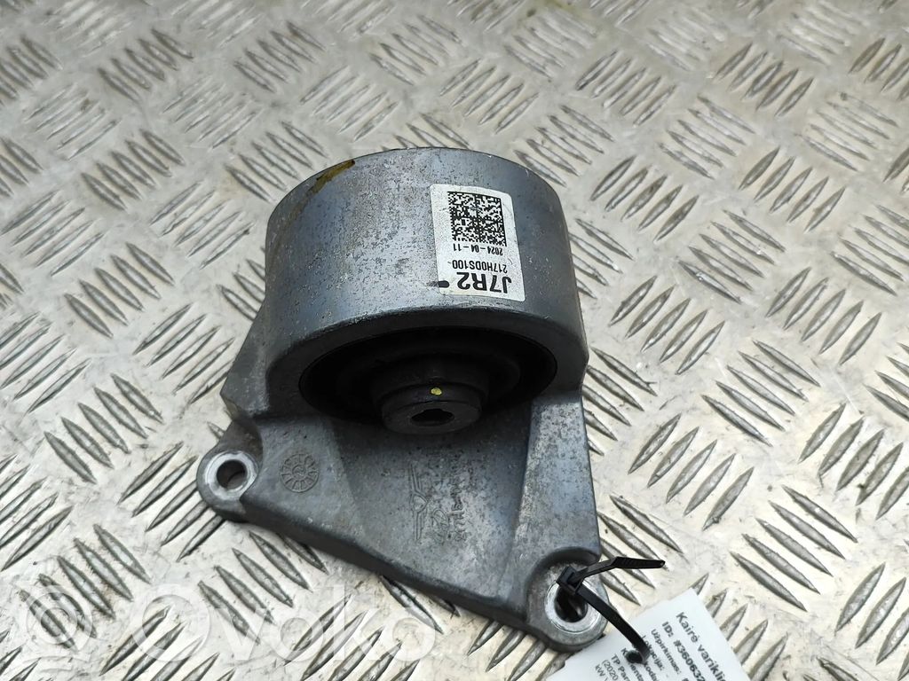 Moottorin kiinnikekorvake   217H0DS100
