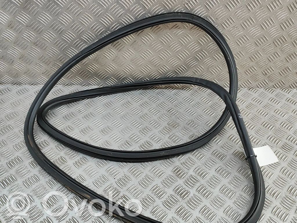 Uszczelka drzwi przednich   1268089600,SA3F5407112
