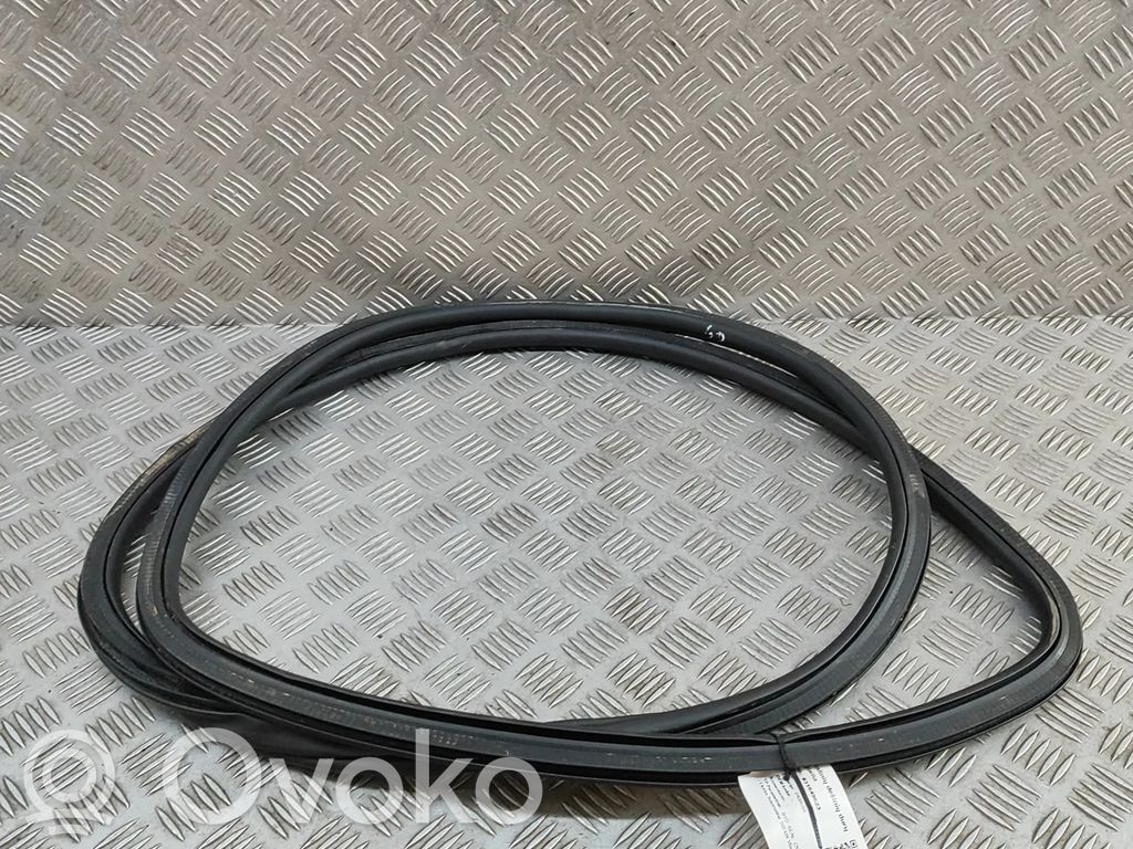 Gumowa uszczelka drzwi tylnych   1268089900,SA3F5407114