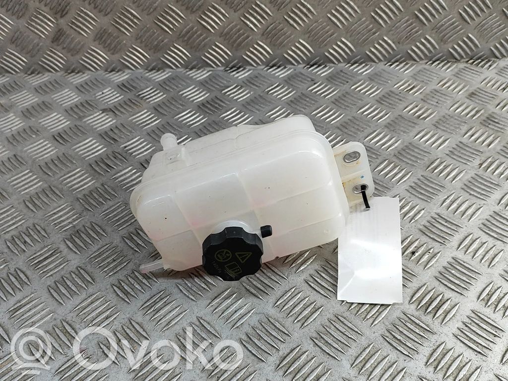 BYD Seal Vas expansiune/rezervor lichid de răcire 