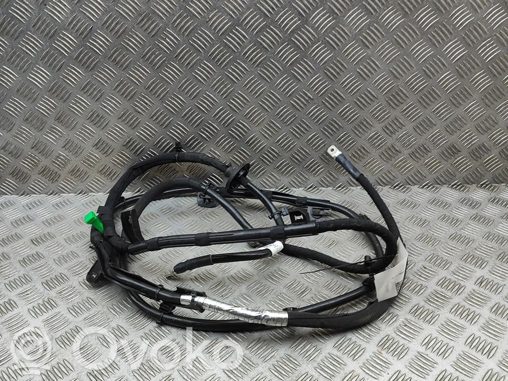 Cable positivo (batería)   8MA971793C