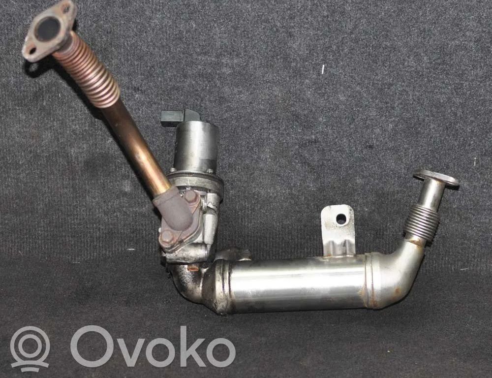 Refroidisseur de vanne EGR   284102A120