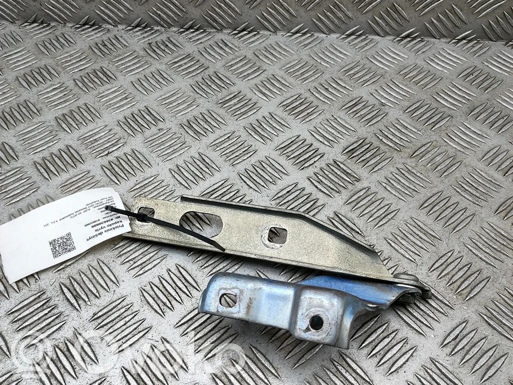 Scharnier Motorhaube   8T0823302E,8T0823302