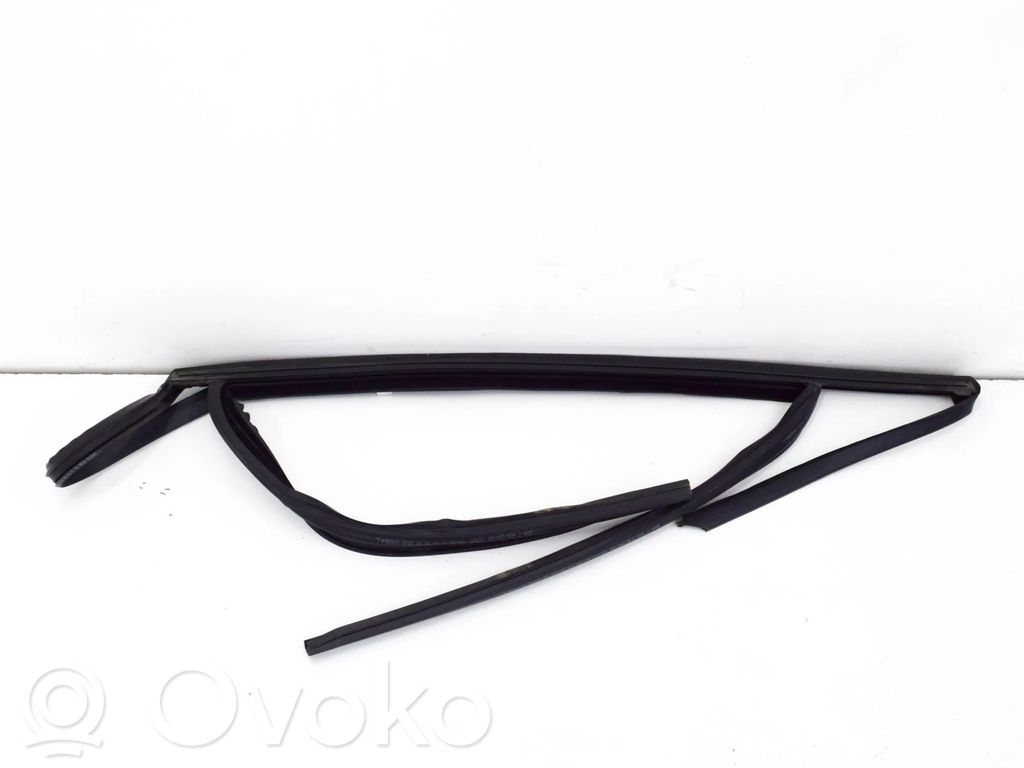 BMW X5 G05 Ornament geam ușă spate 