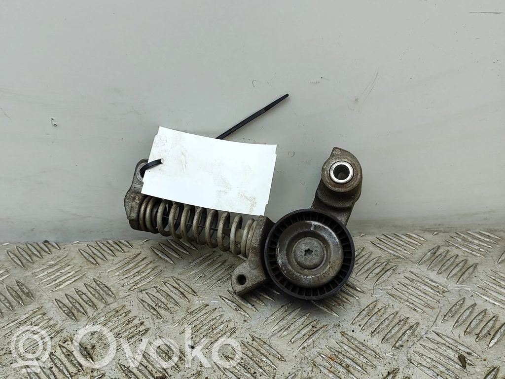 Volvo V40 Tendicinghia generatore/alternatore