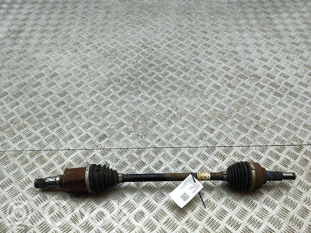 Semiasse anteriore   153667000B