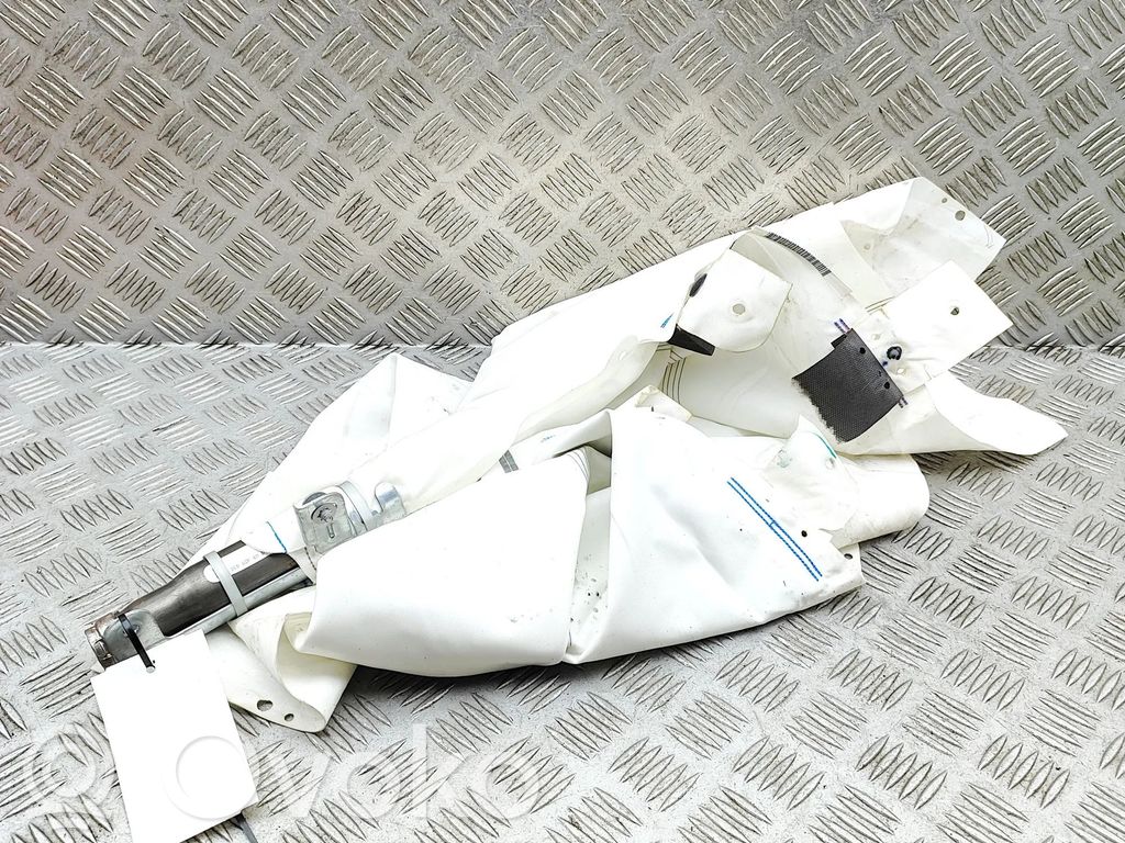 Airbag da tetto   103676000H