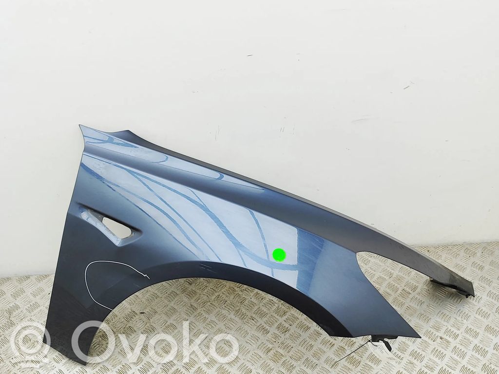 Tesla Model 3 Kotflügel
