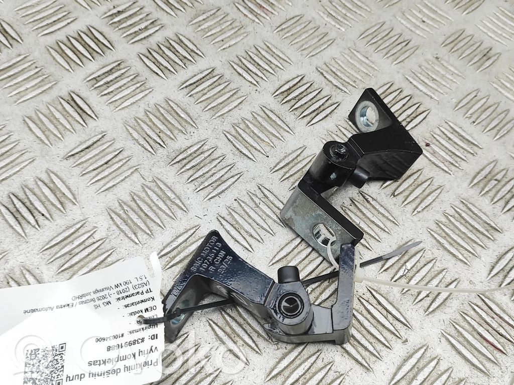 MG HS II Front door hinges set 