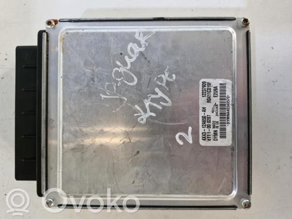 Jaguar X-Type Engine control unit/module 