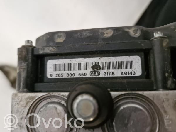 ABS Pump   0265232077,8200747140
