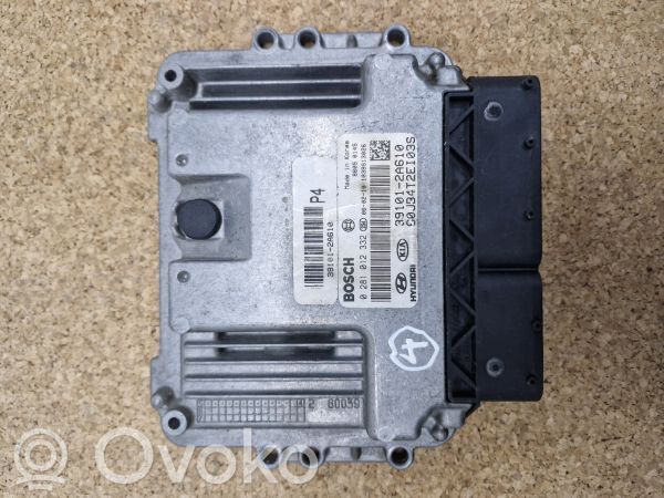 Engine control unit/module   391012A610,0281012332