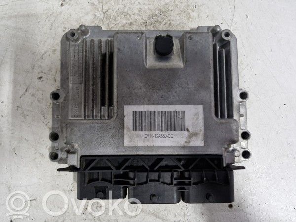 Engine control unit/module   CV1112A650CG