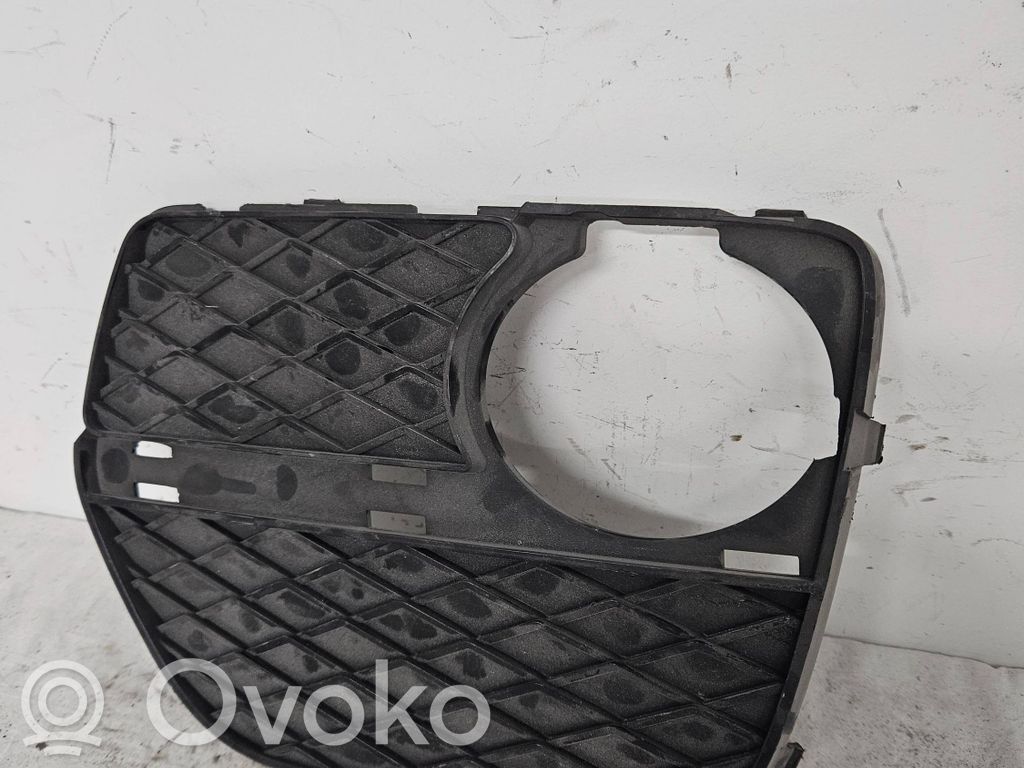 BMW X6 E71 Front bumper lower grill 