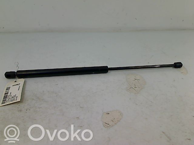 Ford Transit Tailgate/trunk strut/damper 