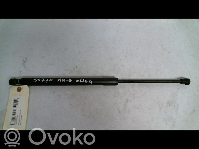 Tailgate/trunk strut/damper   844302093R,844302093R