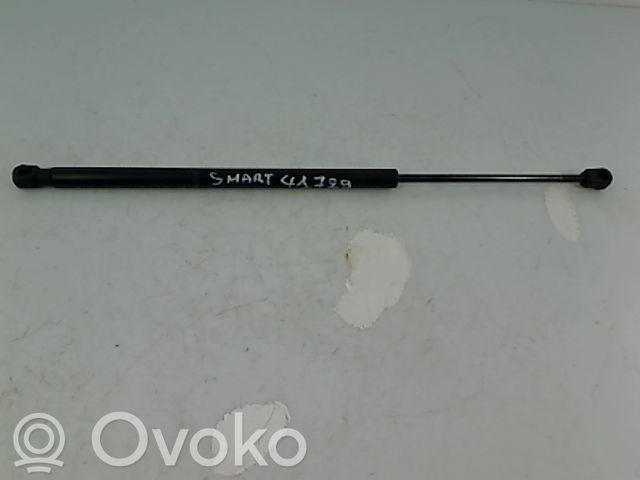Tailgate/trunk strut/damper   4547400145,4547400145