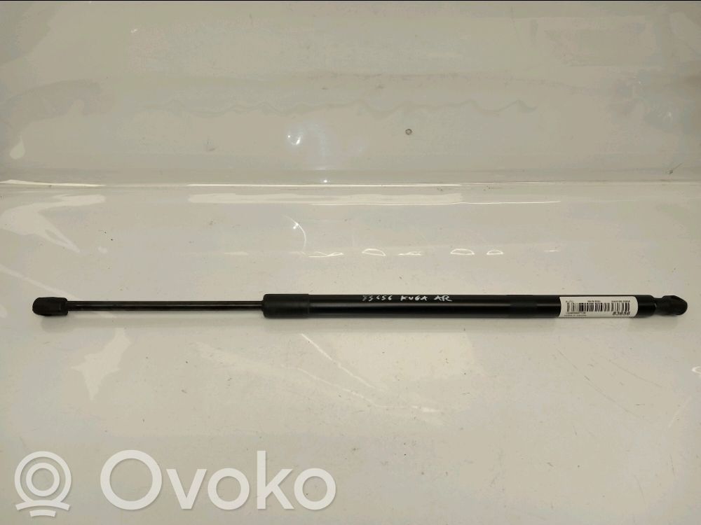 Tailgate/trunk strut/damper   2620273,2620273