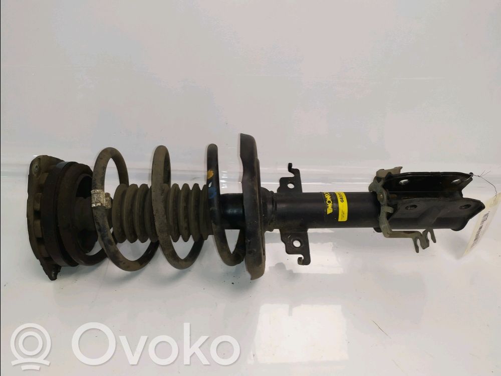 Stoßdämpfer vorne   543020017R,543020017R