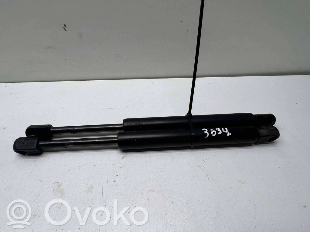 Tailgate/trunk strut/damper