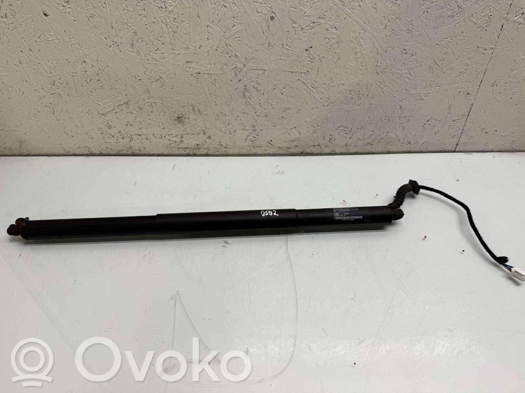 Tesla Model X Tailgate/trunk strut/damper 