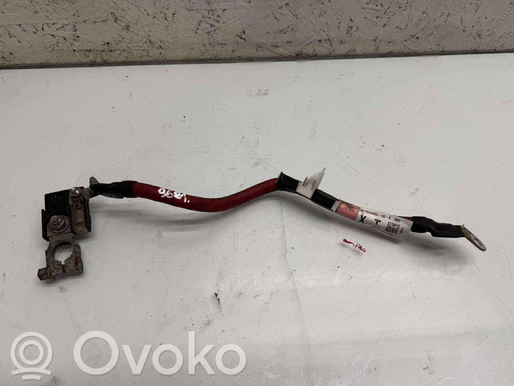 Tesla Model X Cable positivo (batería) 
