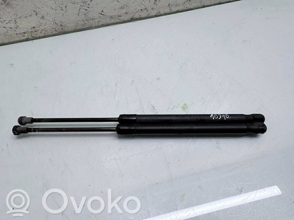 Tailgate/trunk strut/damper   7060622