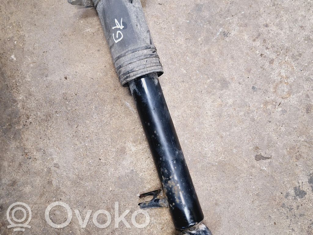 BMW X5 E70 Stoßdämpfer hinten 