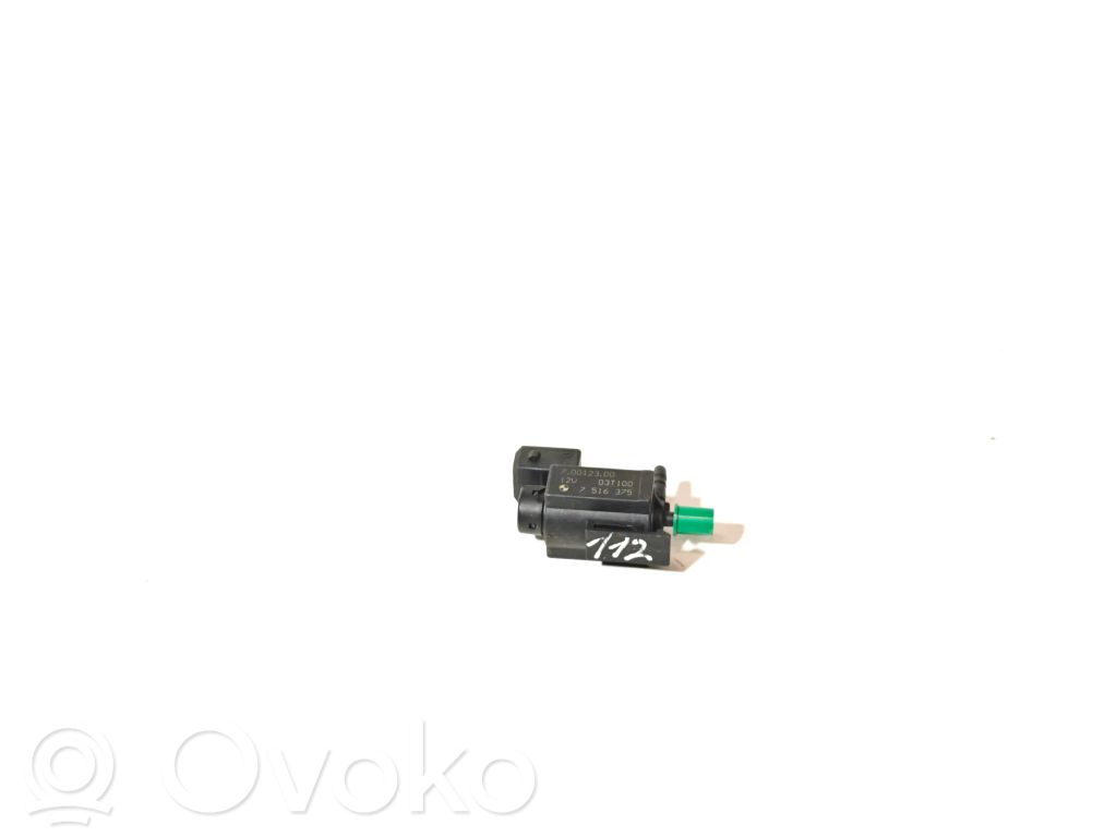 Vakuuminis vožtuvas   7516375,70012300