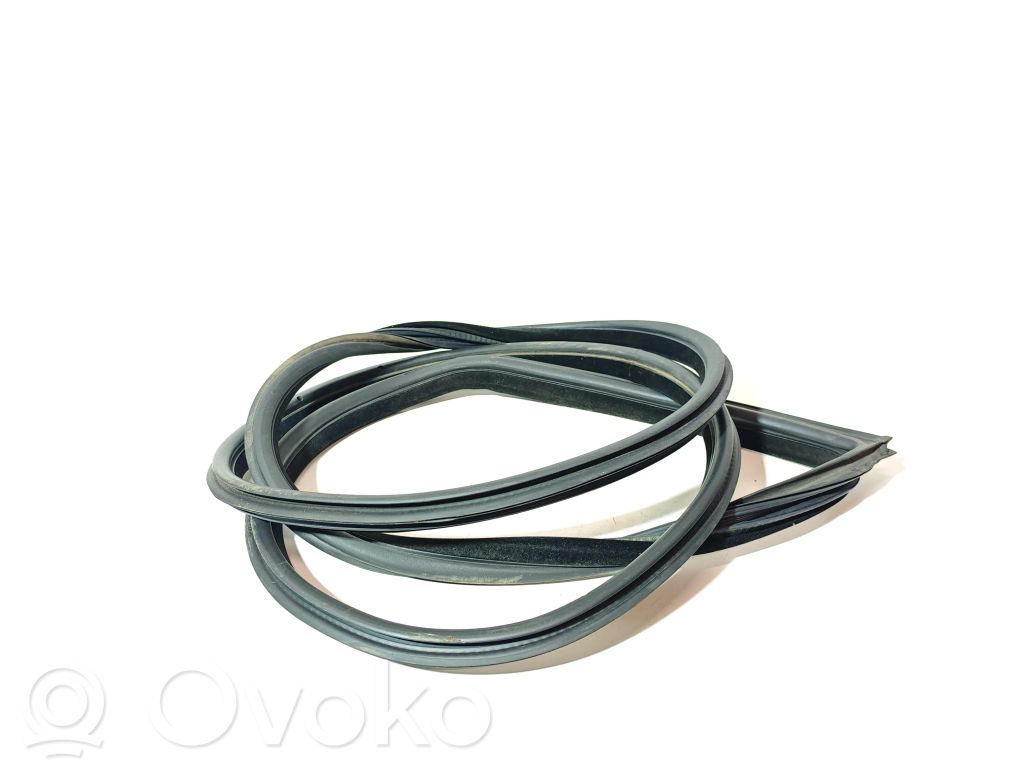 BMW 3 E92 E93 Front door rubber seal 