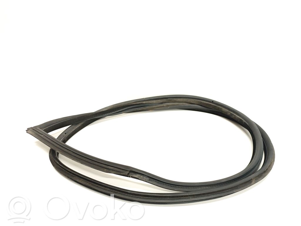 BMW 3 E92 E93 Front door rubber seal 