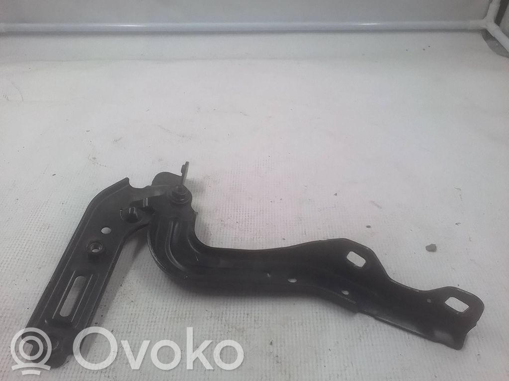 Chrysler Pacifica Engine bonnet/hood hinges 