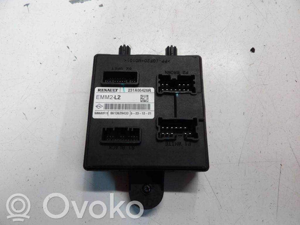 Other control units/modules   231A06426R,505532F11,8613629433