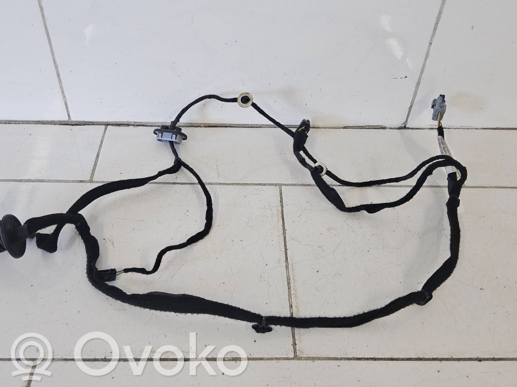 Cableado de puerta trasera   9675699280,550XR5003,006782