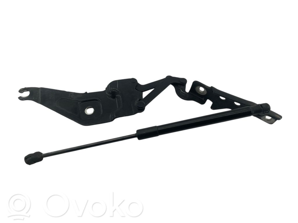 BMW X5 E70 Front bonnet/hood damper/strut 