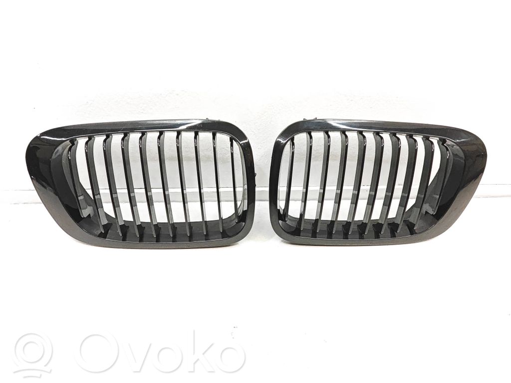 Front grill   NRKBMWE46