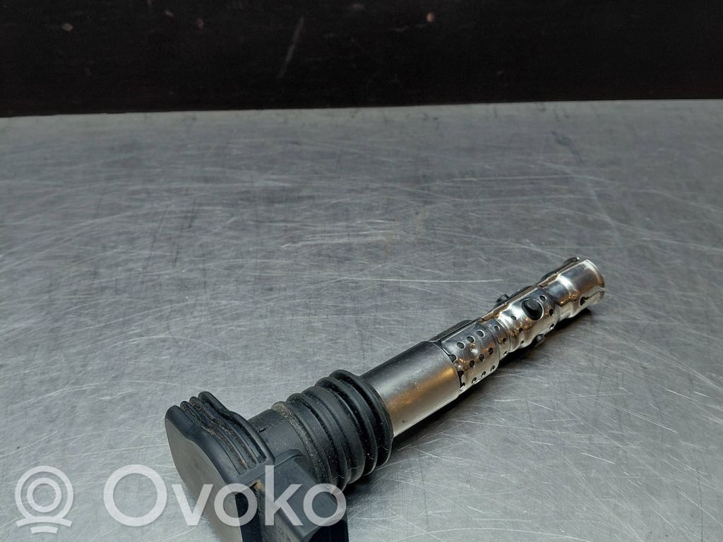 Audi A4 S4 B7 8E 8H High voltage ignition coil 